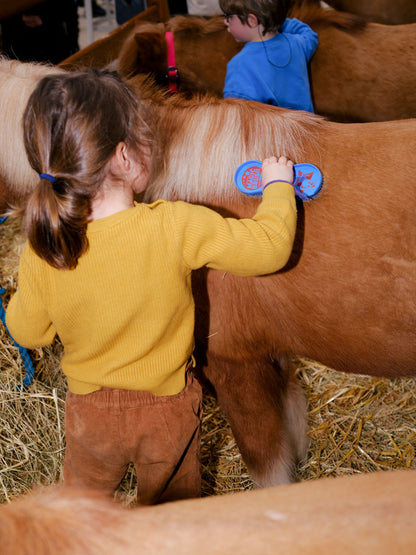 Mini Magic Party 🐴